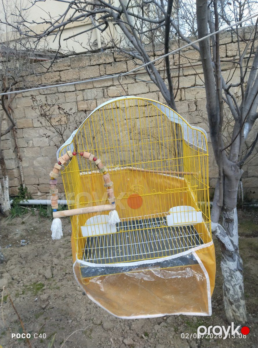 Qəfəs — Heyvan malları, Bakı (2)