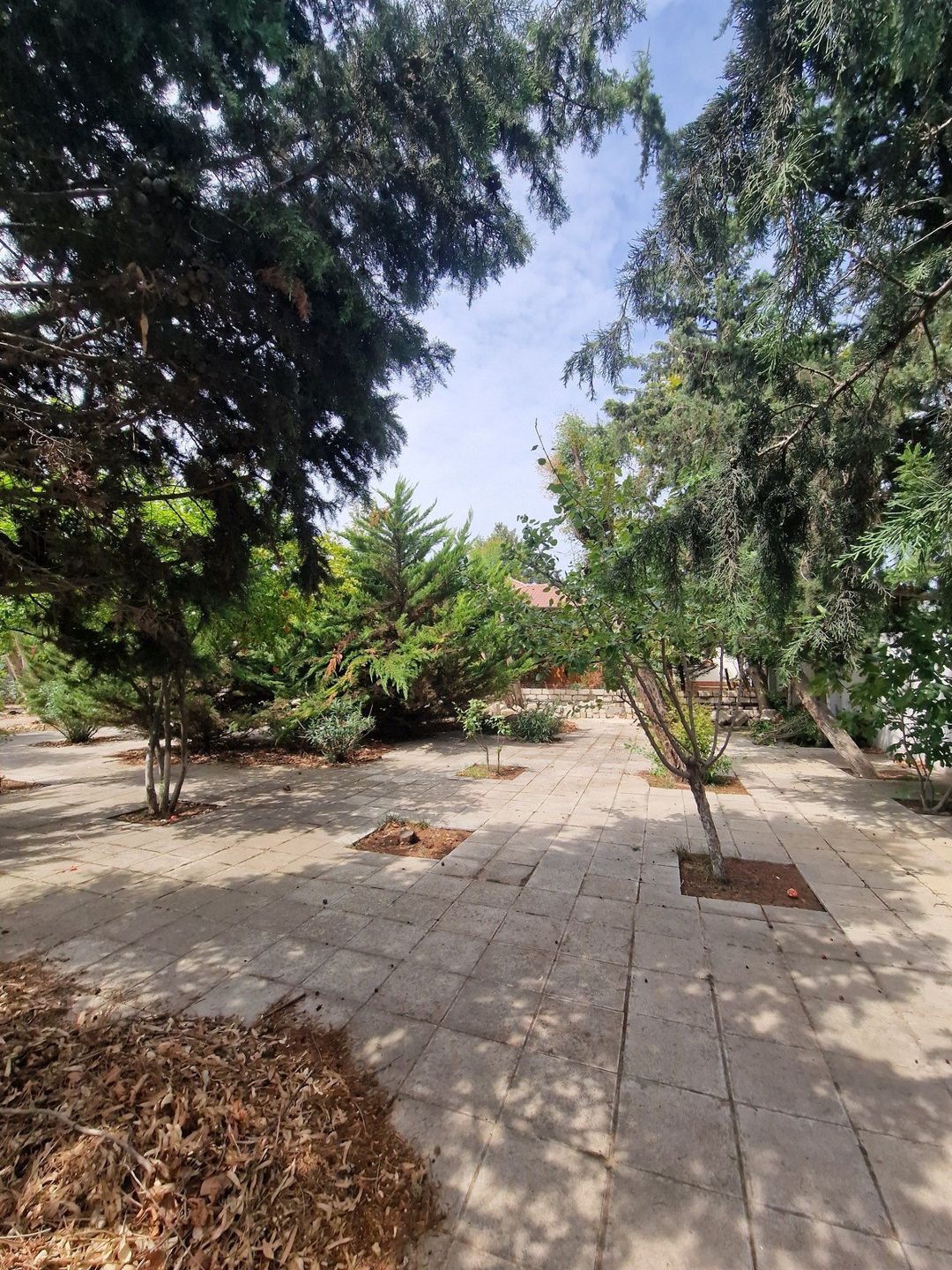 Satılır torpaq 10 sot — Torpaq, Bakı (5)