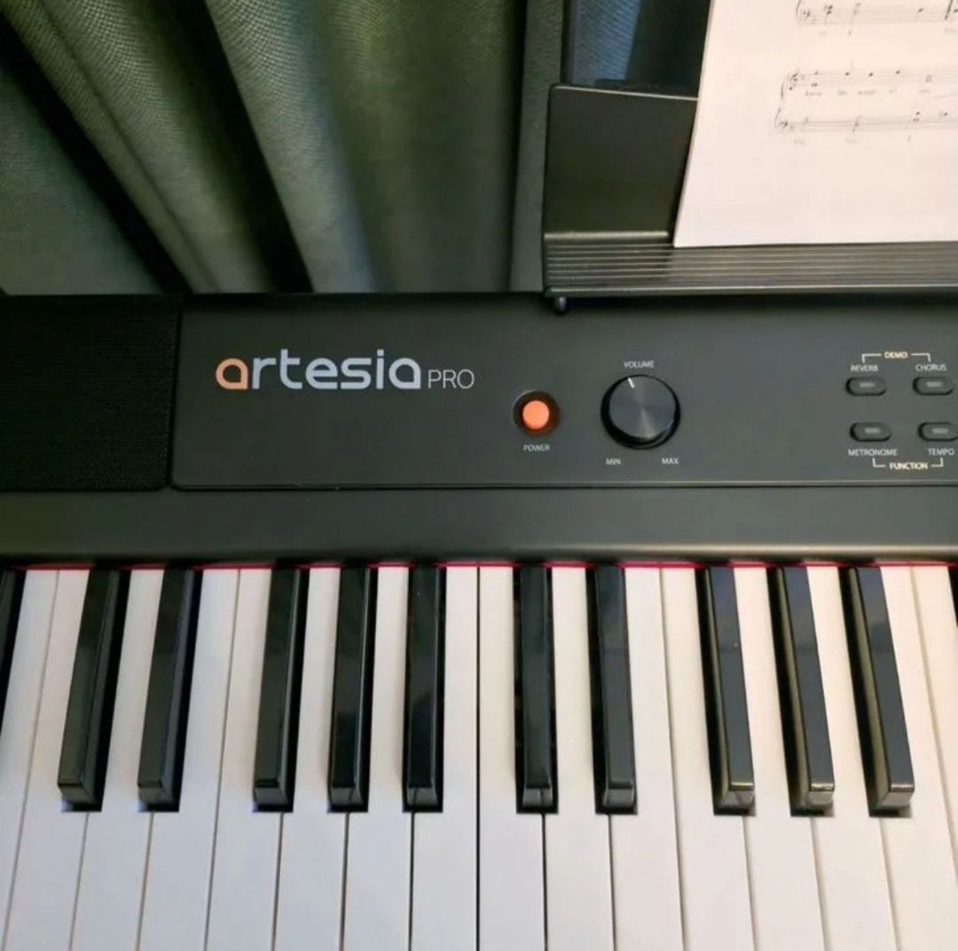 Sintezator Artesia Performer Pro — Musiqiə alətləri, Bakı (3)