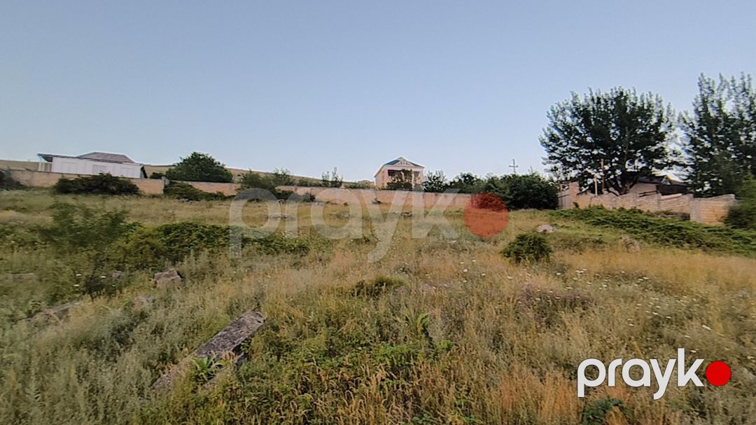 95 sot torpaq sahəsi, Şamaxı ş — Torpaq, Şamaxı (7)