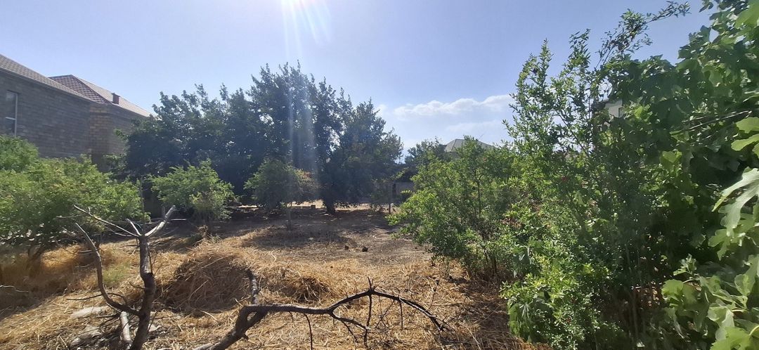 Satılır torpaq 10 sot — Torpaq, Bakı (2)