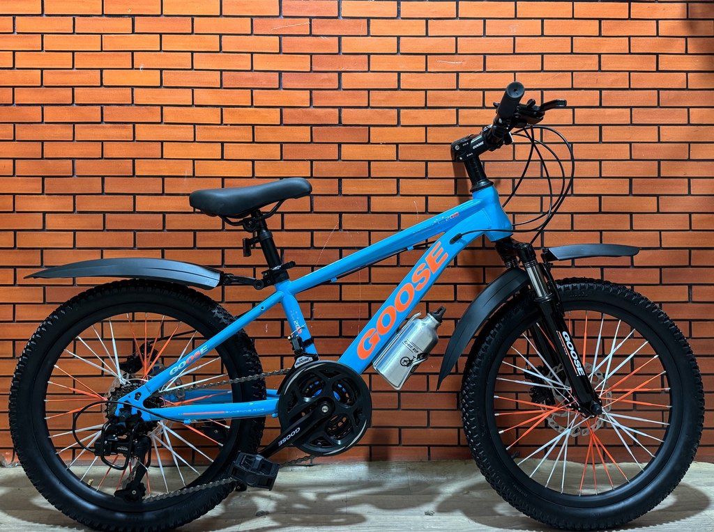 Velosiped “Goose 20” — Velosipedlər, Bakı (3)