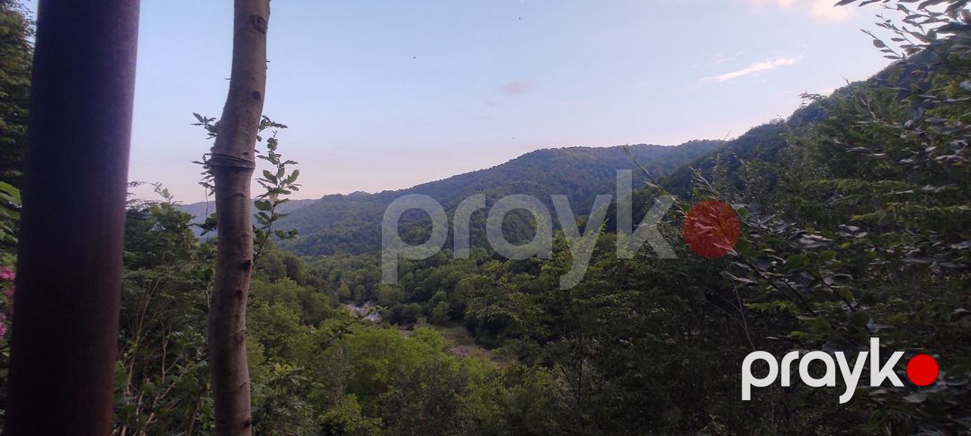 Bağ evi kirayə verilir, İsmayıllı r — Ev, villa, İsmayıllı (8)