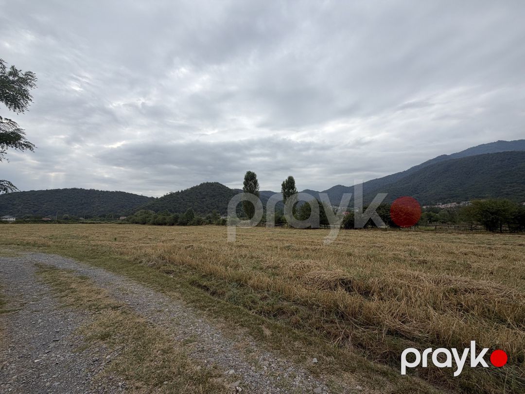 Satılır torpaq 51 sot — Torpaq, Qəbələ (7)