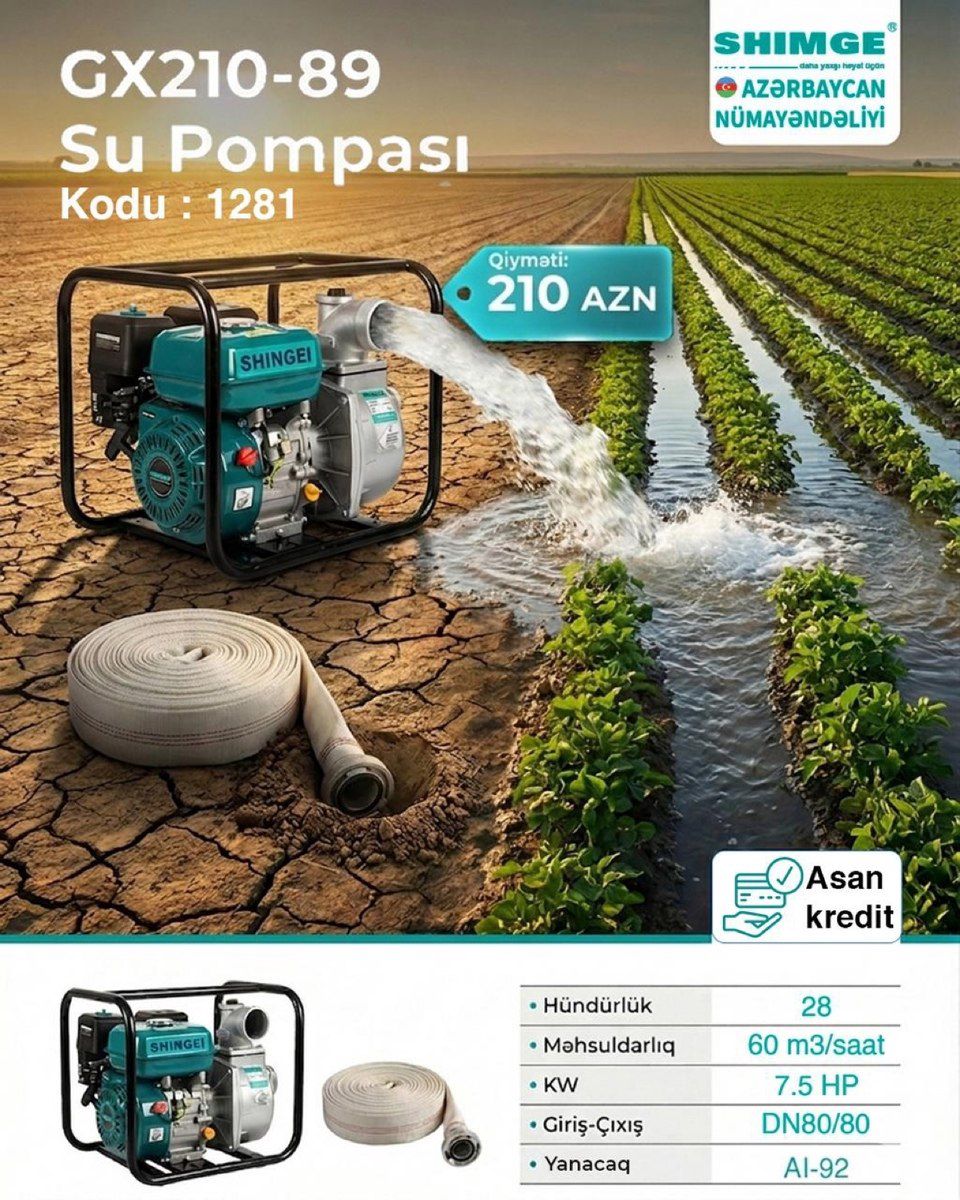 Su pompası "Shingei" — Dacha və bağ, Bakı (8)