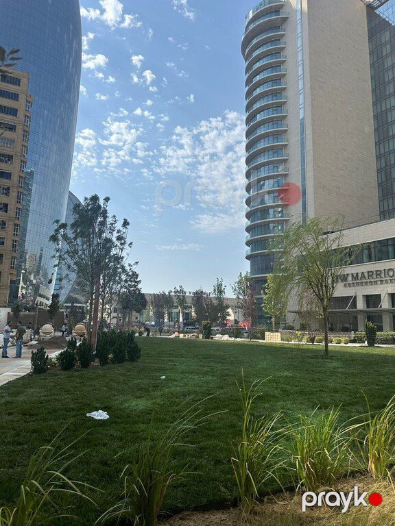 Qazon — Bitkilər, Bakı (2)