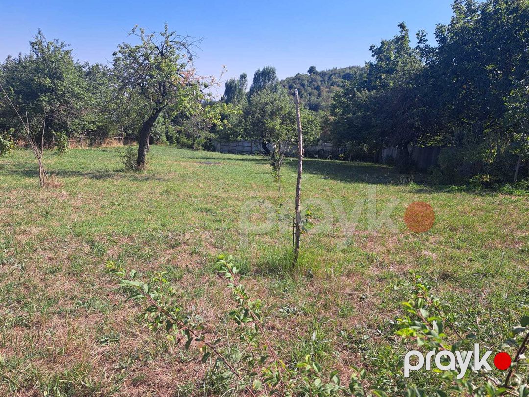 Satılır torpaq 19 sot — Torpaq, İsmayıllı (4)