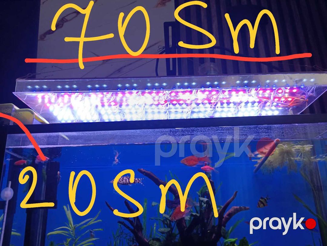 Akvarium LED işığı — Akvariumlar və balıqlar, Bakı (3)