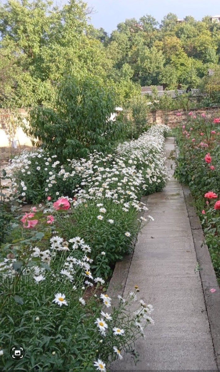 Həyət evi, Quba r — Ev, villa, Quba (3)