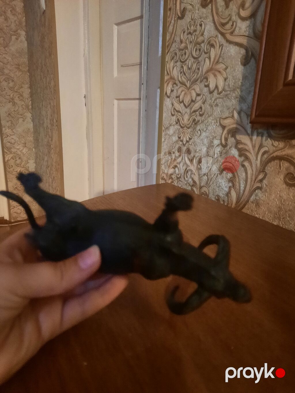 Oyuncaq camış fiquru sag salamat oycaq - Material: plastik/rezin — Oyuncaq figuraları, Zaqatala (7)