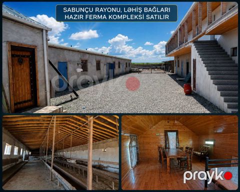 Obyekt, Ləhiş bağları — Bakı