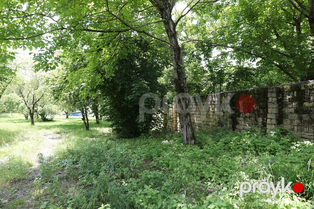Satılır torpaq 40 sot — Torpaq, Qəbələ (2)