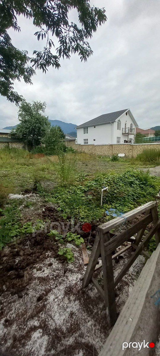 Satılır torpaq 6 sot — Torpaq, Qəbələ (4)