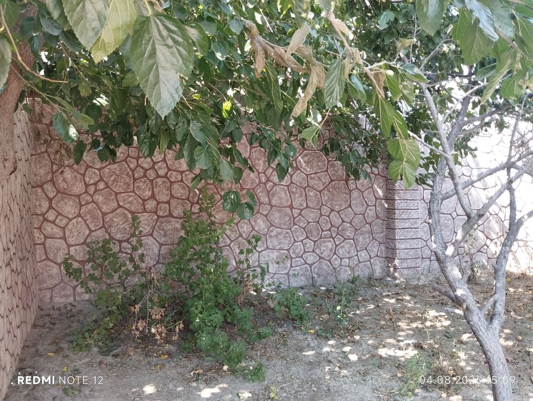 Satılır 3 otaqlı həyət evi/bağ evi 85 m² — Ev, villa, Bakı (2)