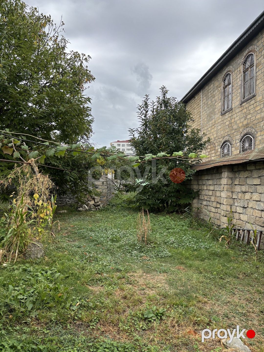 Satılır torpaq 30 sot — Torpaq, Qəbələ (4)