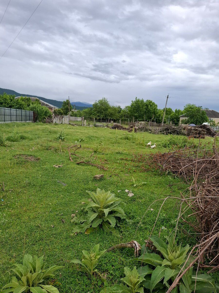 12 sot torpaq sahəsi, Zaqatala ş — Torpaq, Zaqatala (8)