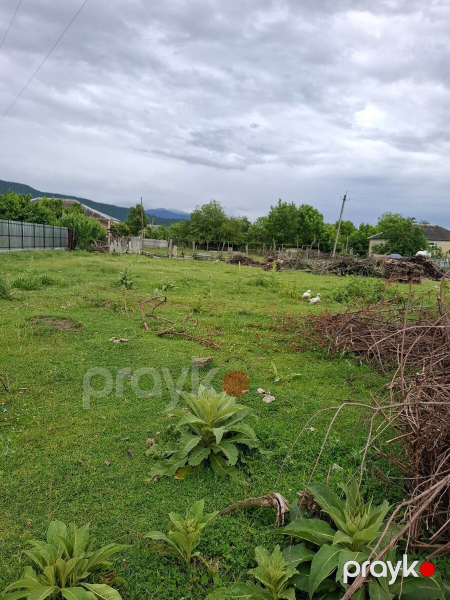 12 sot torpaq sahəsi, Zaqatala ş — Torpaq, Zaqatala (8)