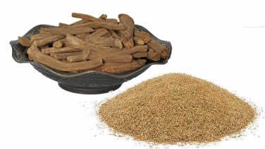 Ud hindi — Bakı