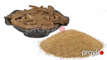 Ud hindi — Bakı