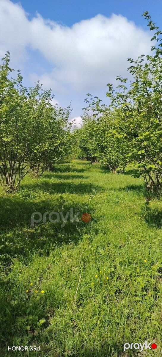 1.9 sot torpaq sahəsi, Qax r — Torpaq, Qax (7)