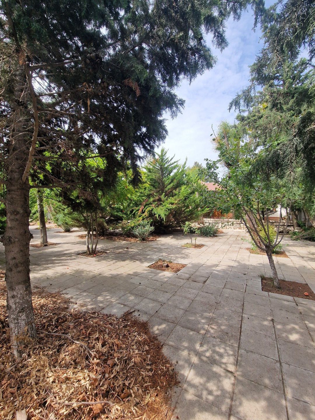 Satılır torpaq 10 sot — Torpaq, Bakı (4)