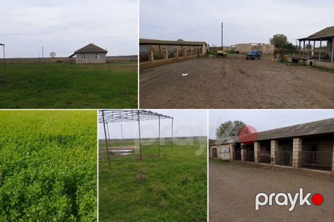 Həyət evi, Salyan r — Salyan