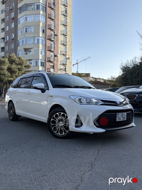 Toyota Corolla, 2019 il