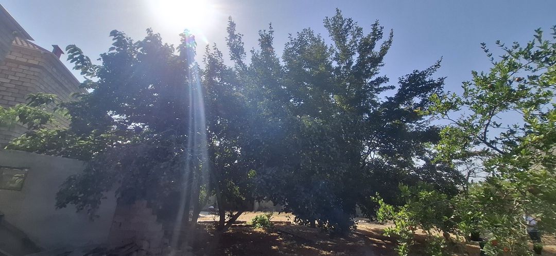 Satılır torpaq 10 sot — Torpaq, Bakı (5)