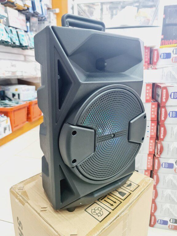 Bluetooth karaoke mikrofonlu dinamik — Səs texnikası, Bakı (3)
