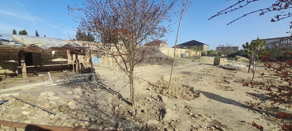 2 sot, Kənd təsərrüfatı, Mülkiyyətçi, Kupça (Çıxarış) — Torpaq, Novxanı (5)