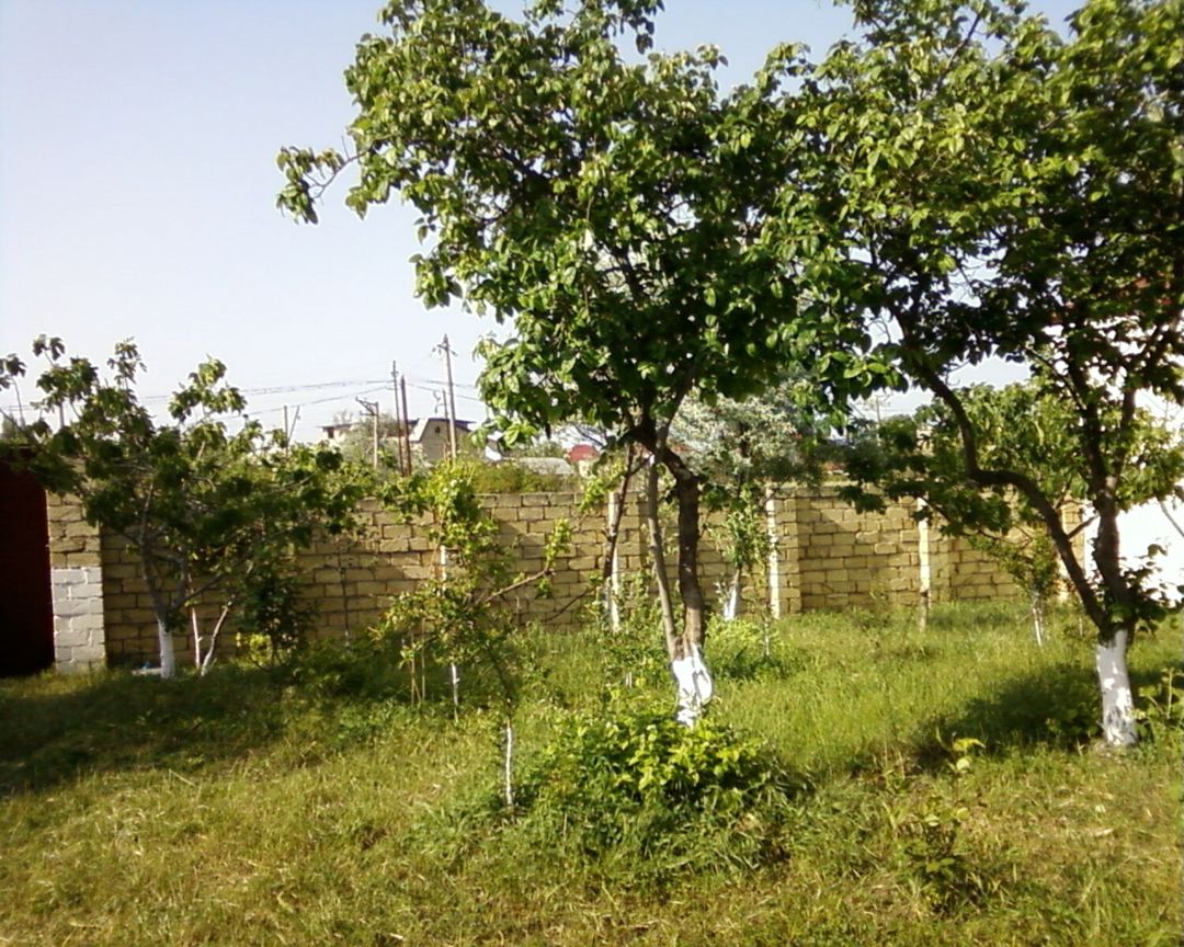 Satılır torpaq 18 sot — Torpaq, Bakı (3)
