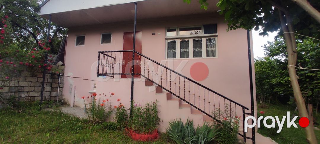 Bağ evi kirayə verilir, İsmayıllı r — Ev, villa, İsmayıllı (12)