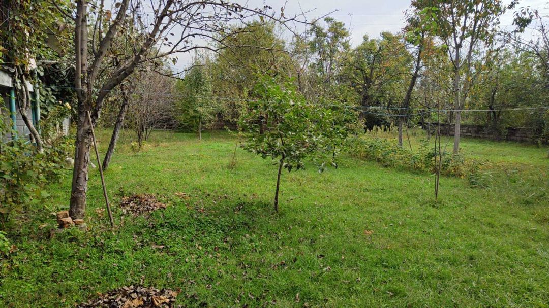 Həyət evi, Zaqatala r — Ev, villa, Zaqatala (7)