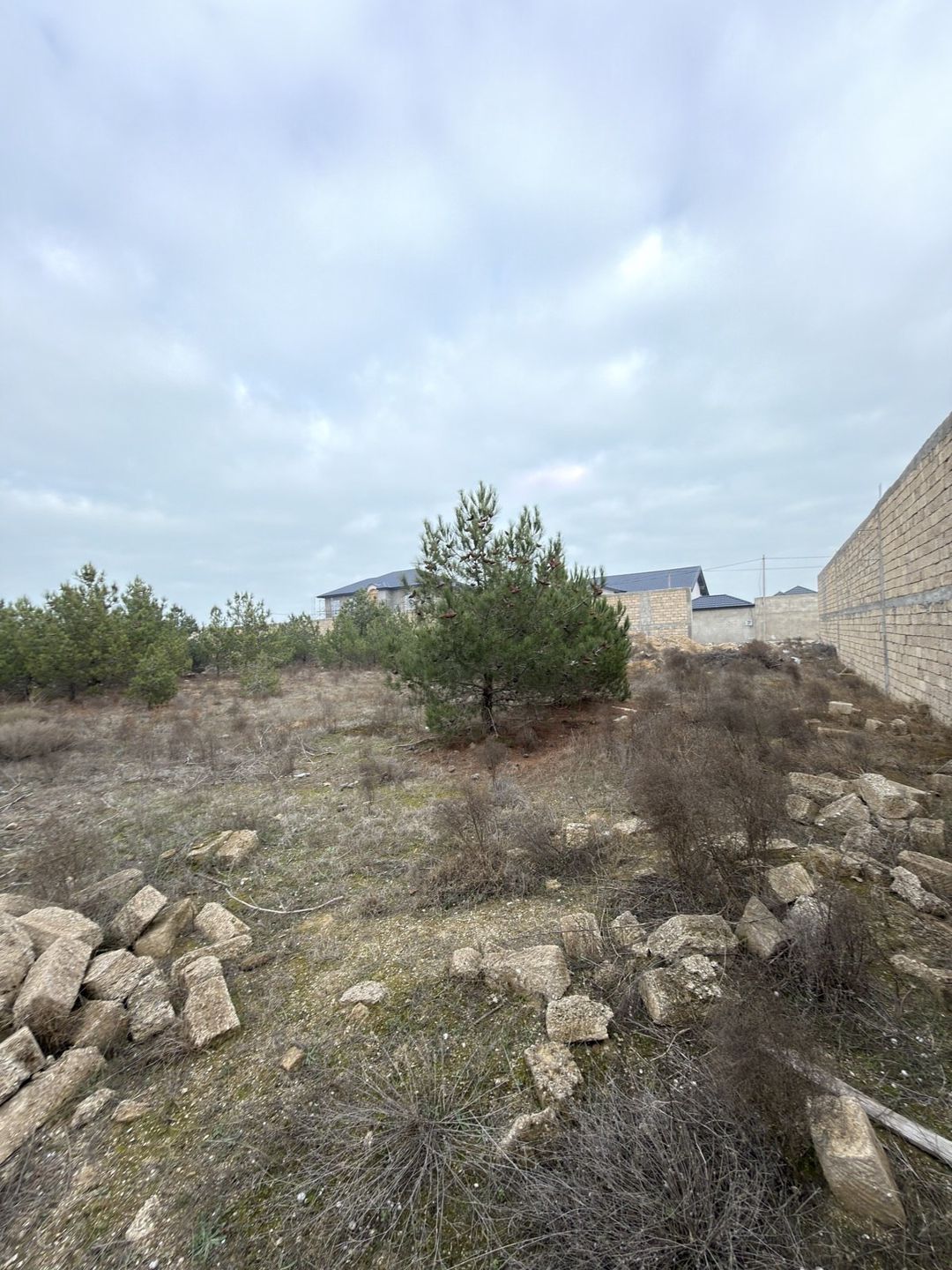 Satılır torpaq 9 sot — Torpaq, Bakı (8)