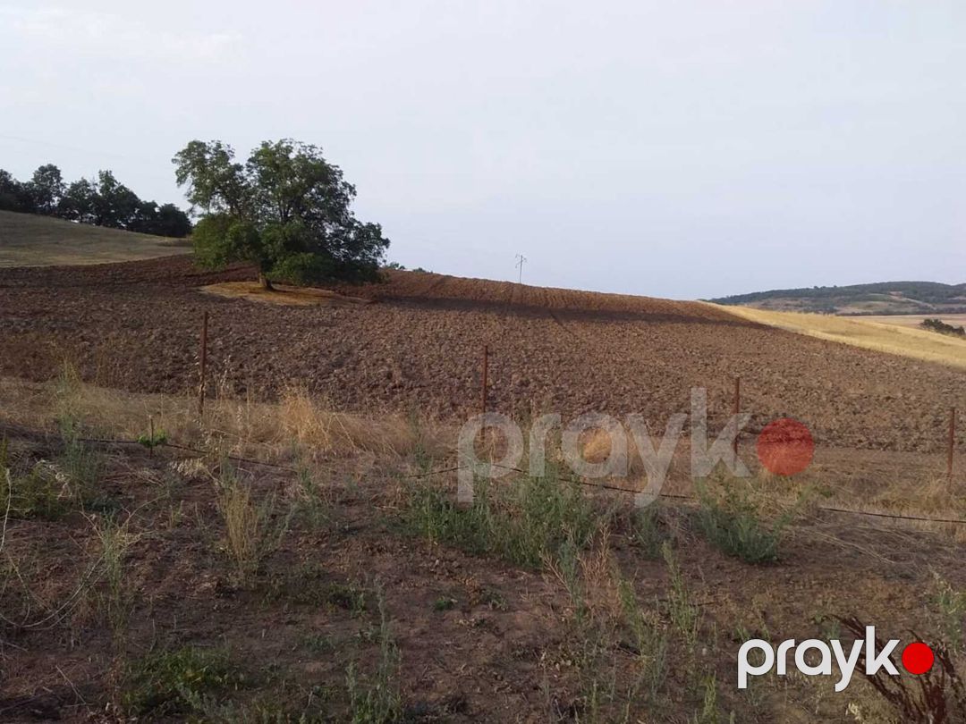 Satılır torpaq 153 sot — Torpaq, Şabran (2)