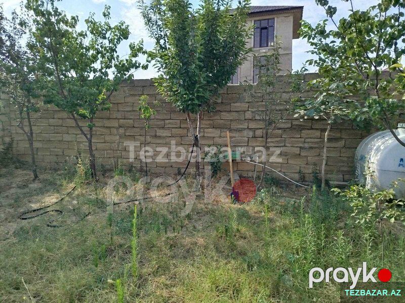 Saray qəsəbəsi, Nəsrəddin Tusi küçəsi — Torpaq, Bakı (5)