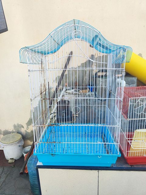 Quş qəfəsi - Material: metal çərçivə, plastik altlıq - Rəng: ağ metal — Digah