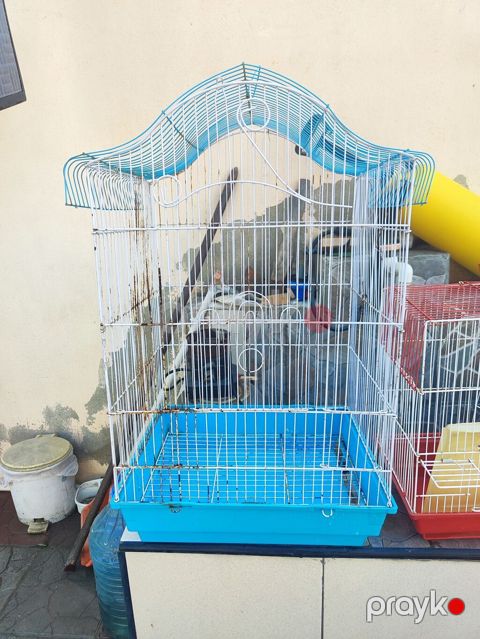 Quş qəfəsi - Material: metal çərçivə, plastik altlıq - Rəng: ağ metal — Digah