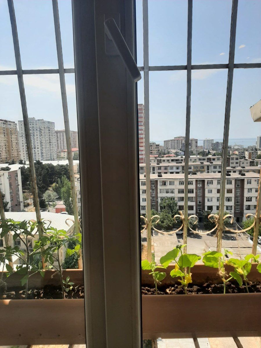 Satılır 3 otaqlı yeni tikili 70 m² — Mənzil, Bakı (7)