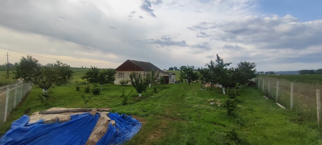 Bağ evi, Quba r — Ev, villa, Quba (3)