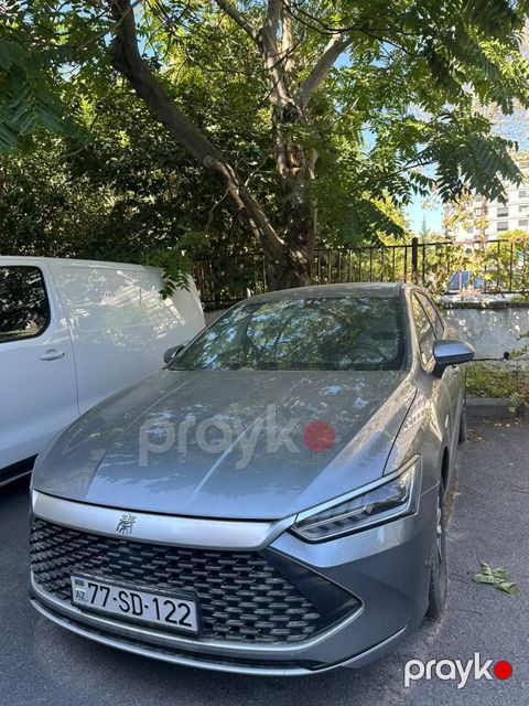 BYD Qin Plus, 1.5 L, 8.32 kWh, 2024 il, 17 000 km