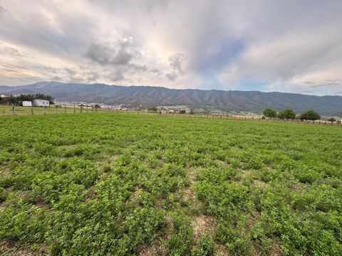 12 sot torpaq sahəsi, Qusar r — Qusar