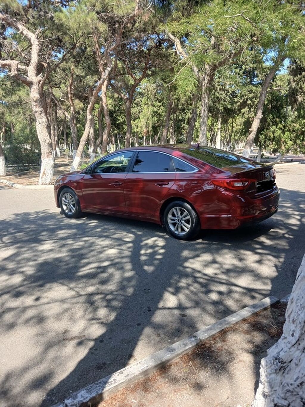 Hyundai Sonata sedan - Korpus: 4 qapılı sedan, albalı/qırmızı rəng — Avtomobillər, Bakı (3)