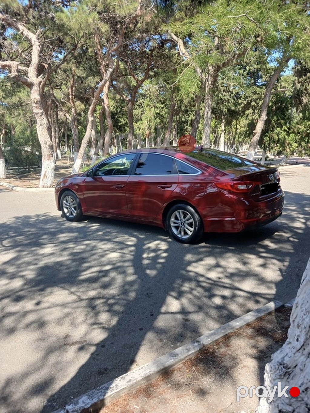 Hyundai Sonata sedan - Korpus: 4 qapılı sedan, albalı/qırmızı rəng — Avtomobillər, Bakı (3)