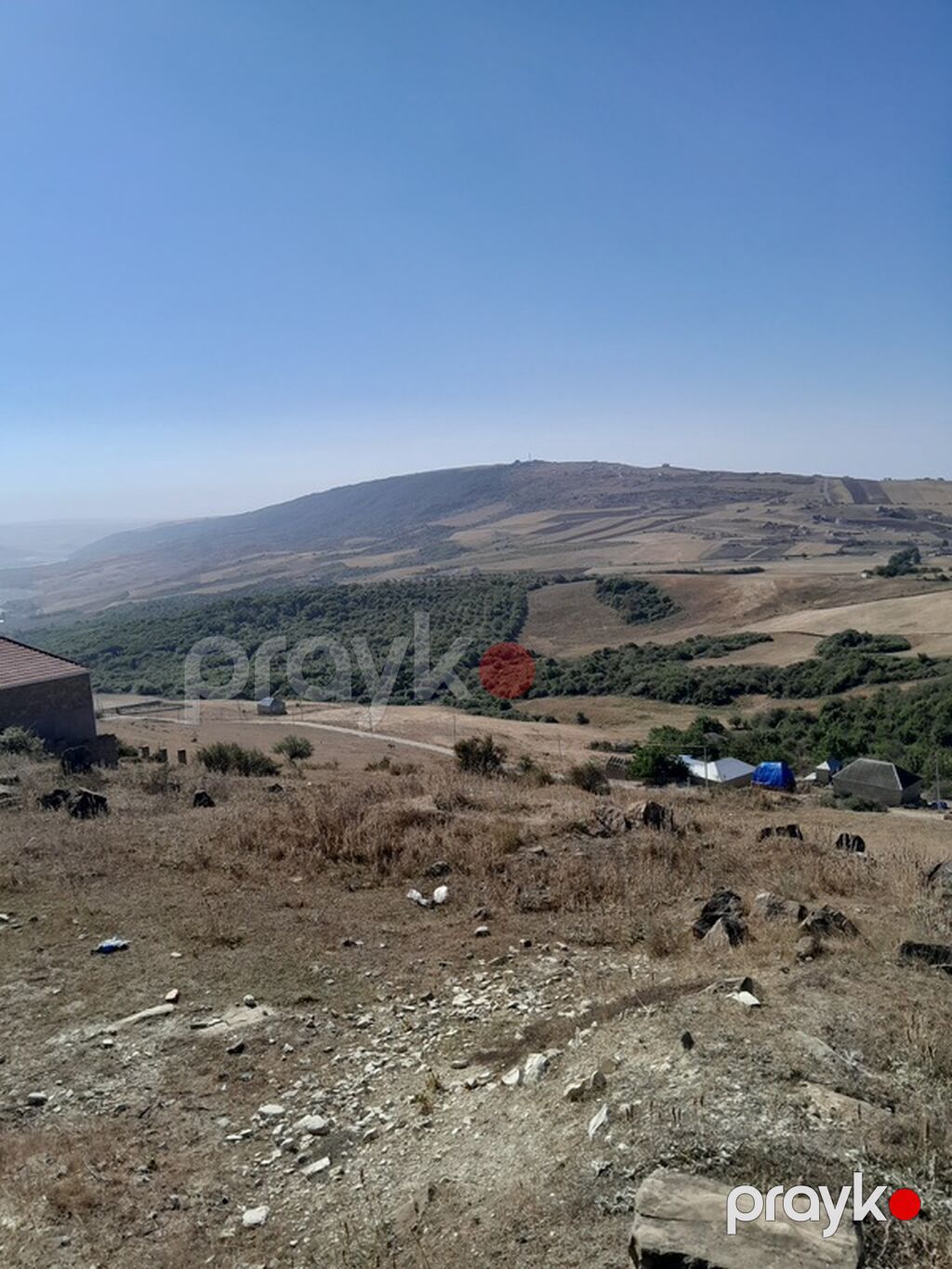 12 sot, Tikinti, Barter mümkündür, Kupça (Çıxarış) — Torpaq, Şamaxı (2)