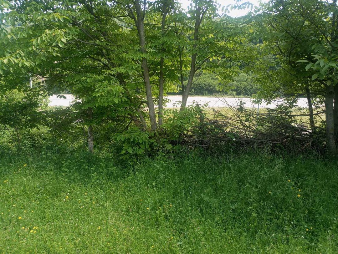 Satılır torpaq 3 sot — Torpaq, Qusar (3)