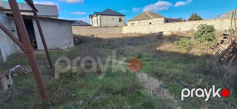 8 sot torpaq sahəsi, Buzovna qəs — Bakı