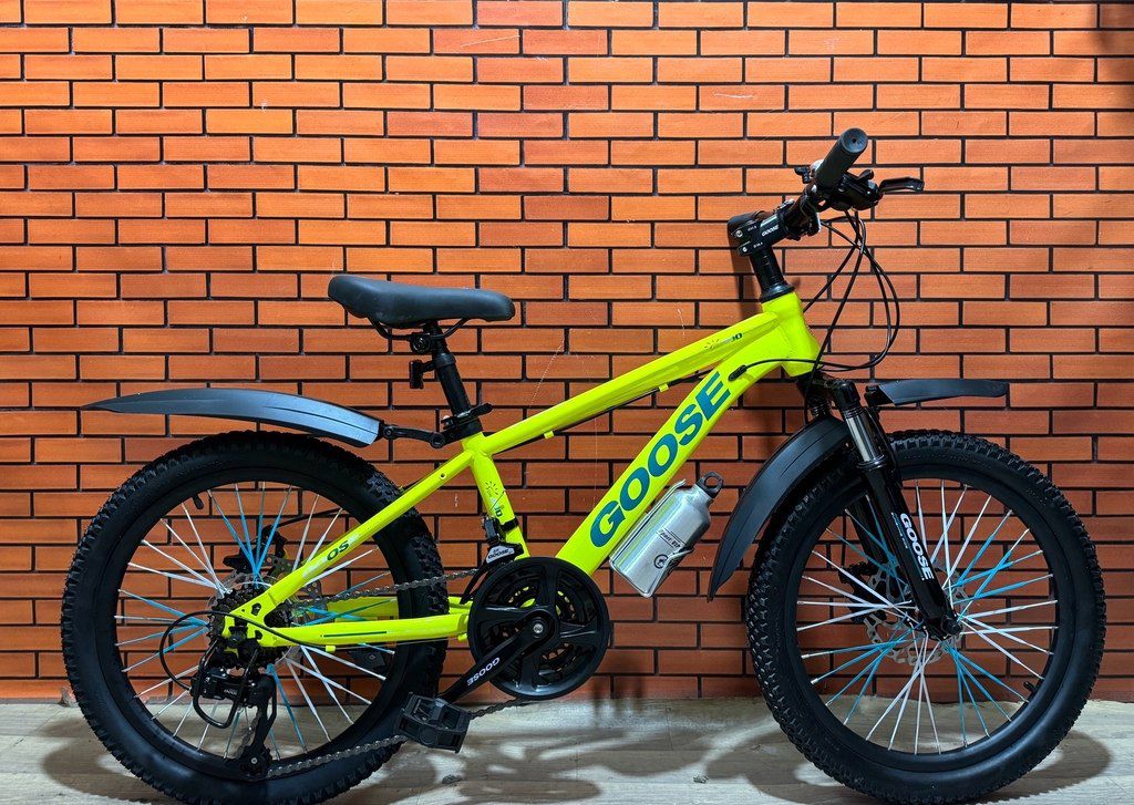 Velosiped “Goose 20” — Velosipedlər, Bakı (4)