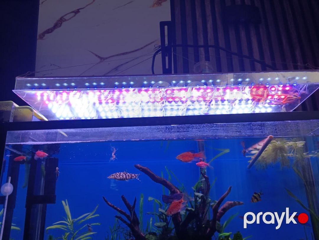 Akvarium LED işığı — Akvariumlar və balıqlar, Bakı