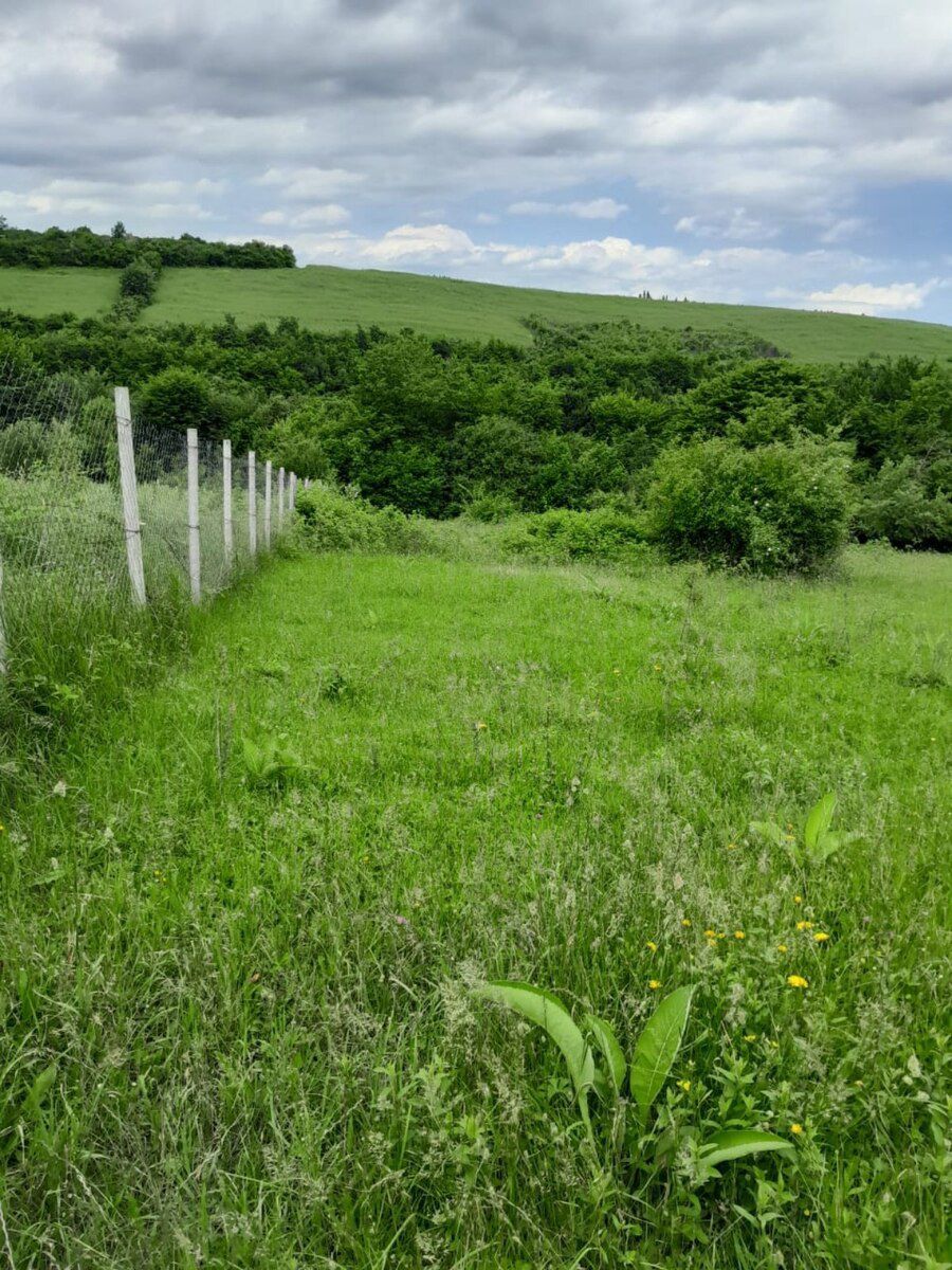 6 sot torpaq sahəsi, Qusar r — Torpaq, Qusar (3)